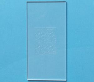 Glass Microfluidic Chip, Rock-on-a-Chip